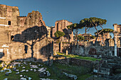 Remains of the Mars Ultor Temple of Augustus Forum, Rome, Lazio, Italy, Europe