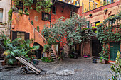 Backyard in Rome, Lazio, Italy, Europe