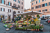 Flower stand, Rome, Lazio, Italy, Europe