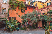 Backyard, Rome, Lazio, Italy, Europe