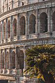 Kolosseum, Rom, Latium, Italien, Europa