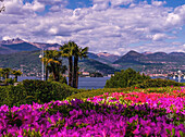 View of Lake Maggiore and the Alps from the lakeside promenade in Stresa, Piedmont, Italy