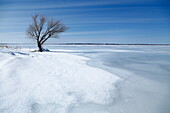 Winter at the Saint Lawrence River