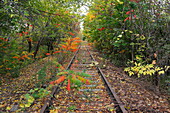 Abandoned railway line