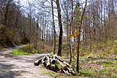 Hiking trail, signpost to the Spaltfelsen, Eichfelsen and Wildenstein Castle, Upper Danube Nature Park in the Swabian Jura, Baden-Württemberg, Germany