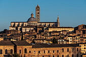 Panorama auf Altstadt und Dom Santa Maria Assunta, Siena, Toskana, Italien, Europa