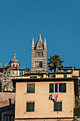 Blick auf den Kirchturm des Doms, Siena, Toskana, Italien, Europa