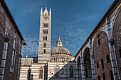 Cathedral of Santa Maria Assunta, steeple, Siena, Tuscany, Italy, Europe