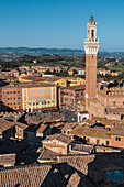 Blick auf Turm Torre Del Mangia und Rathaus Palazzo Pubblico von der Domfassade Facciatone aus, Siena, Toskana, Italien, Europa