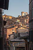 Blick auf Altstadt und Domfassade Facciatone, Siena, Toskana, Italien, Europa