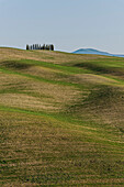 Landscape at San Quirico d'Orcia, Val d'Orcia, Province of Siena, Tuscany, Italy, UNESCO World Heritage
