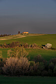 Landschaft bei Pienza, Val d'Orcia, Provinz Siena, Toskana, Italien, UNESCO Welterbe,  Europa