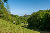 Schloss Wernigerode, Schafherde, Bollhasental, Wernigerode, Sachsen-Anhalt, Deutschland