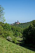 Schloss Wernigerode, Schafherde, Bollhasental, Wernigerode, Sachsen-Anhalt, Deutschland