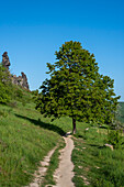 Teufelsmauer, hiking trail, Weddersleben, Saxony-Anhalt, Germany