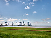 Blick auf die Containerbrücken der Hafenbetriebsgesellschaft North Sea Terminal Bremerhaven, Niedersachsen, Deutschland