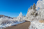 Snowy road in the Murnauer Moos, Murnau, Upper Bavaria, Bavaria, Germany