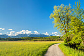 Blick vom Murnauer Moos auf das Estergebirge, Murnau, Oberbayern, Bayern, Deutschland