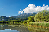 View over the Kochelsee to the Herzogstand, Schlehdorf, Upper Bavaria, Bavaria, Germany