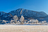 View to the Jochberg (1,565 m), Schlehdorf, Upper Bavaria, Bavaria, Germany