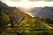 Ortsansicht Brè, Sonnenaufgang, Monte Brè, Lugano, Luganer See, Lago di Lugano, Tessin, Schweiz