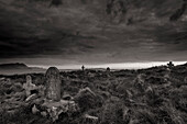 St. Deirbhile's Old Church Graveyard. Old overgrown cemetery. Old tombstones. Fallmore, County Mayo, Ireland.