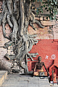 Sadhu und Baumwurzeln, Varanasi, Indien