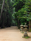 Kashima Jingu alter Zedernwaldspaziergang mit Steinlaternen, Kashima Jingu, Japan