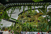 Cloud garden; Marina Bay Gardens; Singapore