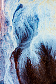 Tannin oil and water emulsion patterns, Royal National Park, NSW, Australia