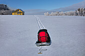 Schlittentransport von Gepäck auf hügeliger, verschneiter Winterlandschaft, Estland