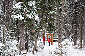 Two people in the snow looking at a notice board in winter resort.