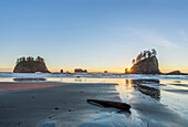 Islands with trees off Second Beach at low tide at sunset, USA