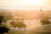 Plain of temples in Mandalay, stupas and spires emerging from the mist, a herd of cows and goats, Myanmar
