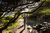 Teenager-Mädchen zu Fuß auf einem Naturlehrpfad unter überhängenden Bäumen, Stanford, Südafrika