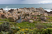 Felsige zerklüftete Küste, Felsenbecken und Blick auf das Meer, De Kelders, Südafrika