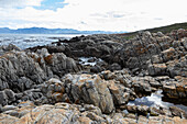 Rocky jagged coastline, eroded sandstone rock, view out to the ocean, De Kelders, South Africa