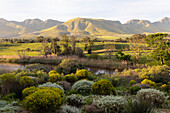 View across a tranquil landscape, river valley and a mountain range, Klein Mountains, South Africa