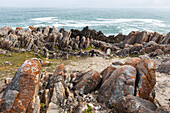 Jagged rocks and the rocky coastline of the Atlantic, vertical rock strata, geological formations, De Kelders, South Africa