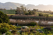 Wandel Pad, Stanford, Western Cape, South Africa.