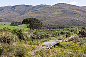 Stanford Valley Guest Farm, Stanford, Western Cape, South Africa.