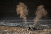 A hippo, Hippopotamus amphibius, in a waterhole, blows air and steam out of nose