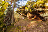 Buntsandstein rocks on the Lemberger Graf-Heinrich-Weg, Lemberg, Palatinate Forest, Southwest Palatinate, Rhineland-Palatinate, Germany, Europe