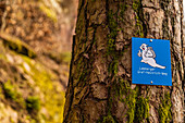 Hiking marker, Lemberger Graf-Heinrich-Weg, Palatinate Forest, Southwest Palatinate, Rhineland-Palatinate, Germany, Europe