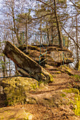 View of a rock in the Palatinate Forest Nature Park, Lemberg, Southwest Palatinate, Rhineland Palatinate, Germany, Europe