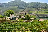 Douro-Tal mit Weingärten im Weinbaugebiet Alto Douro bei Pinhao, Portugal