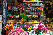 Bloemenmarkt, schwimmender Blumenmarkt auf der Singel Gracht, Detailansicht, Amsterdam, Noord-Holland, Niederlande