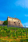 Castle and Vineyard in a Sunny Summer Day in Morcote, Ticino, Switzerland.