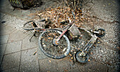 Leihfahrrad und E Roller wurden aus dem Landwehrkanal geborgen. Umwelt, Entsorgung, Müll, Schrottfahrräder, Berlin, Kreuzberg, Deutschland