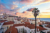 View from Miradouro Santa Luzia of the old town, Alfama district, Lisbon, Portugal, Europe